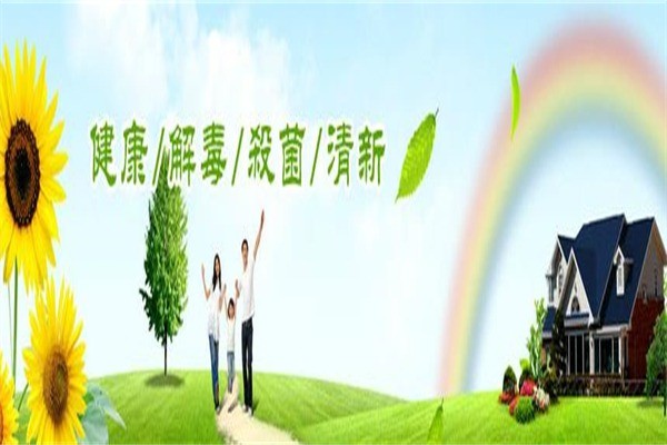 美尔佳除甲醛